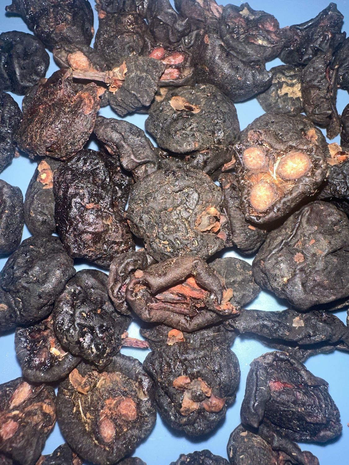 Kokum Black Dry