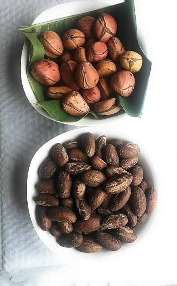 Bitter Kola (African Nut)