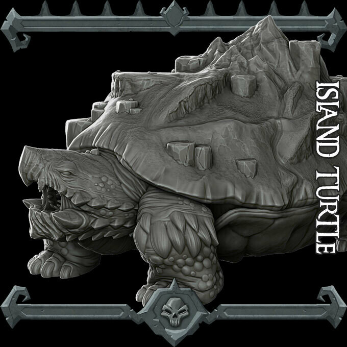 Island Turtle
