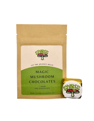 Mushroom Chocolate - 1 gram