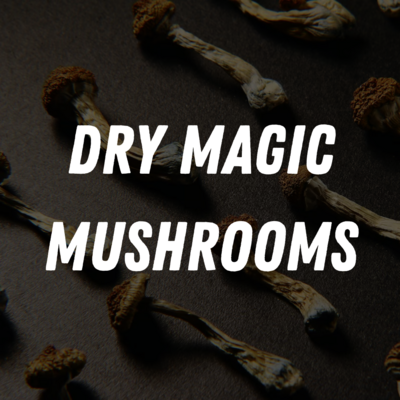 Dry Magic Mushrooms