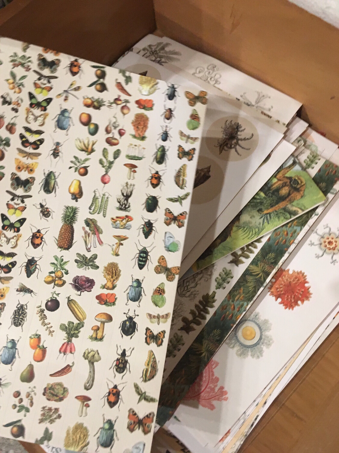 Botanical Nature and Decorative Sticker Sheets