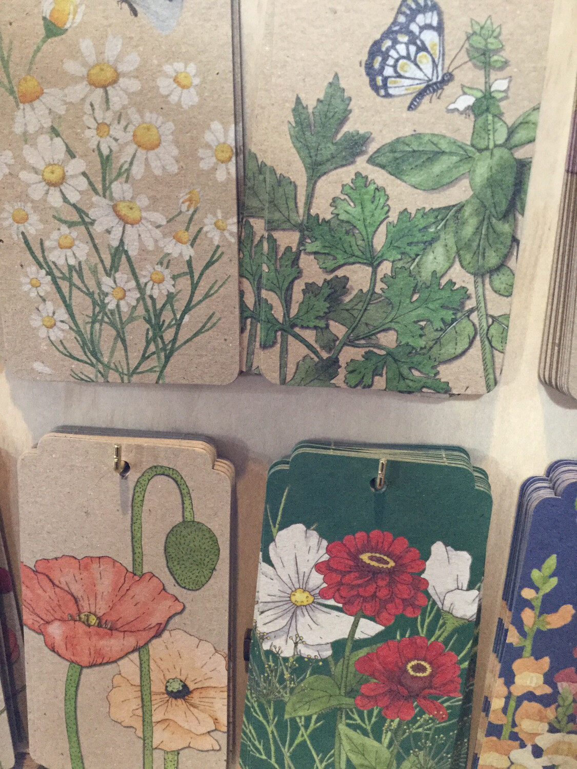 Kraft Card Large Tag Garden Tag Flower Tag Various Sow N Sow