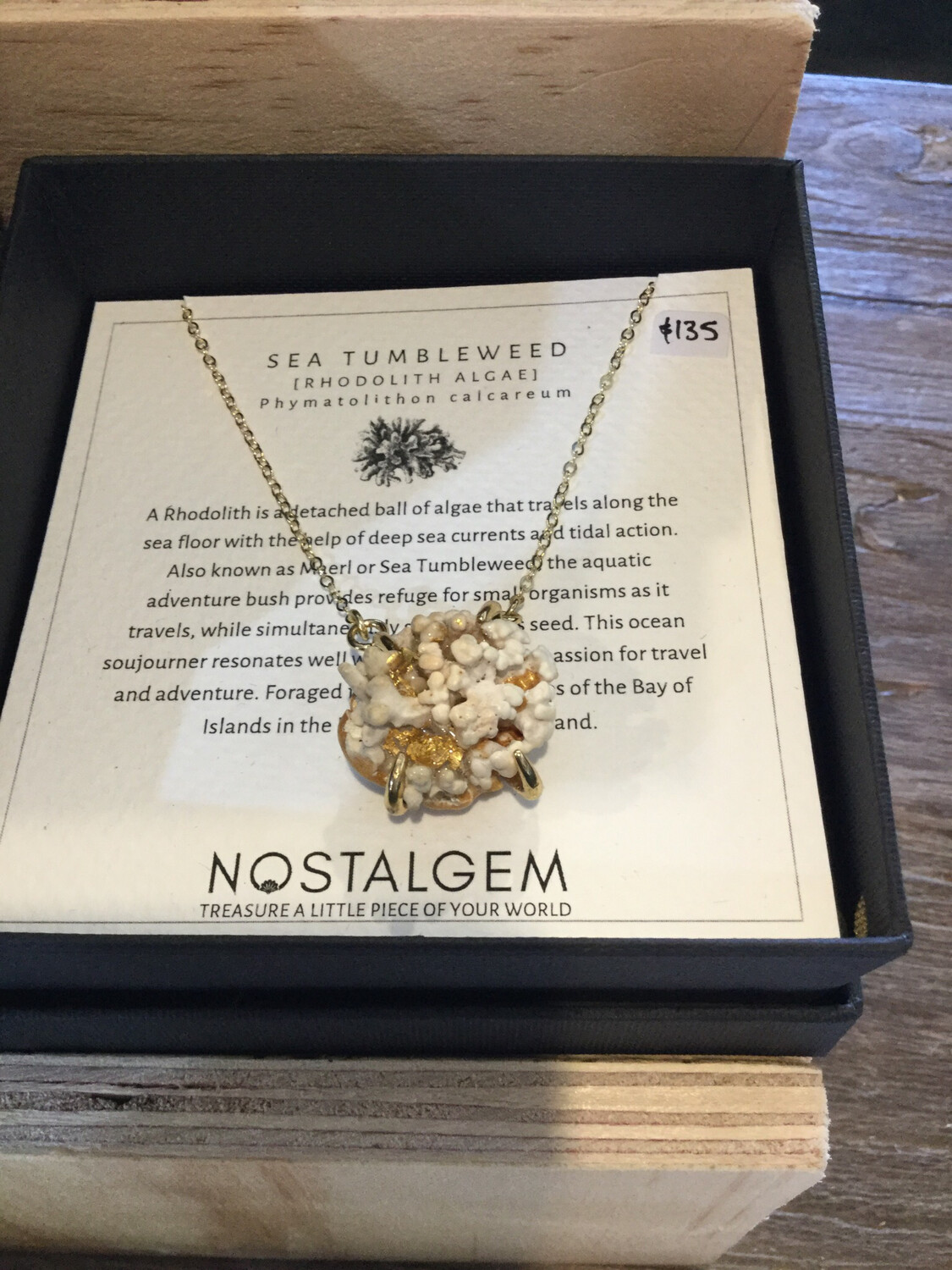 Nostalgem Sea Tumbleweed Necklace With Gold