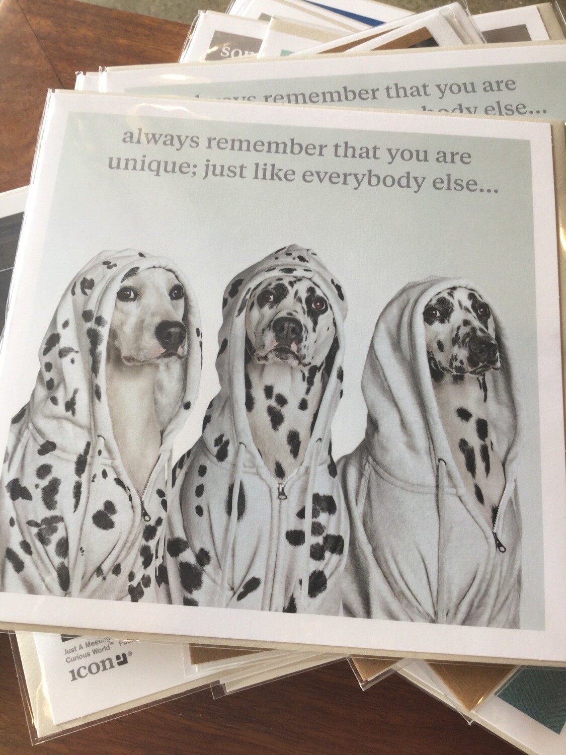 Curious World Card Unique Dalmatian Dogs