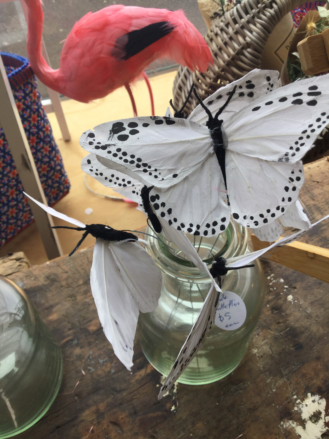 Large White And Black Monarch Butterflies, White Butterfly