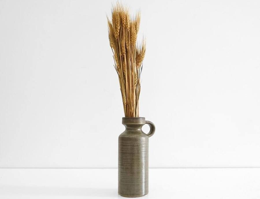 Dried Grasses Wheat Bunch
