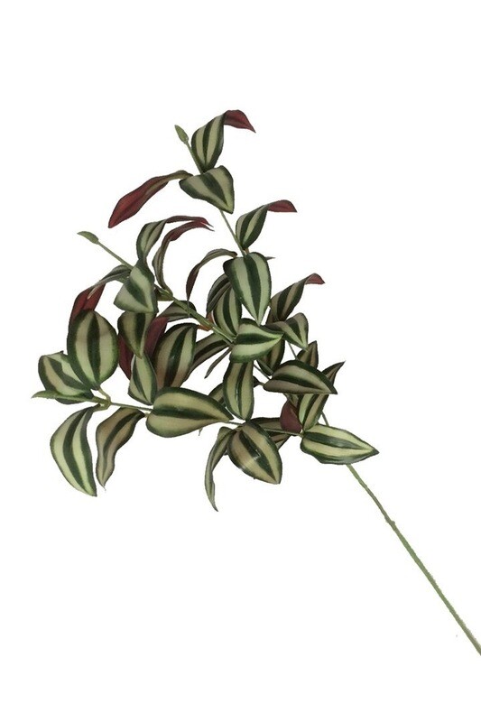 Striped Leaves Stem