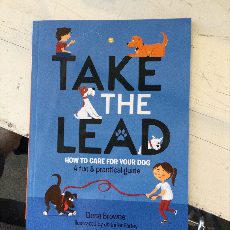 Take The Lead