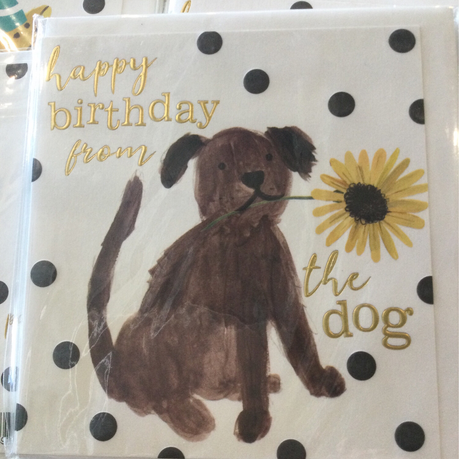 Happy Birthday From The Dog Card