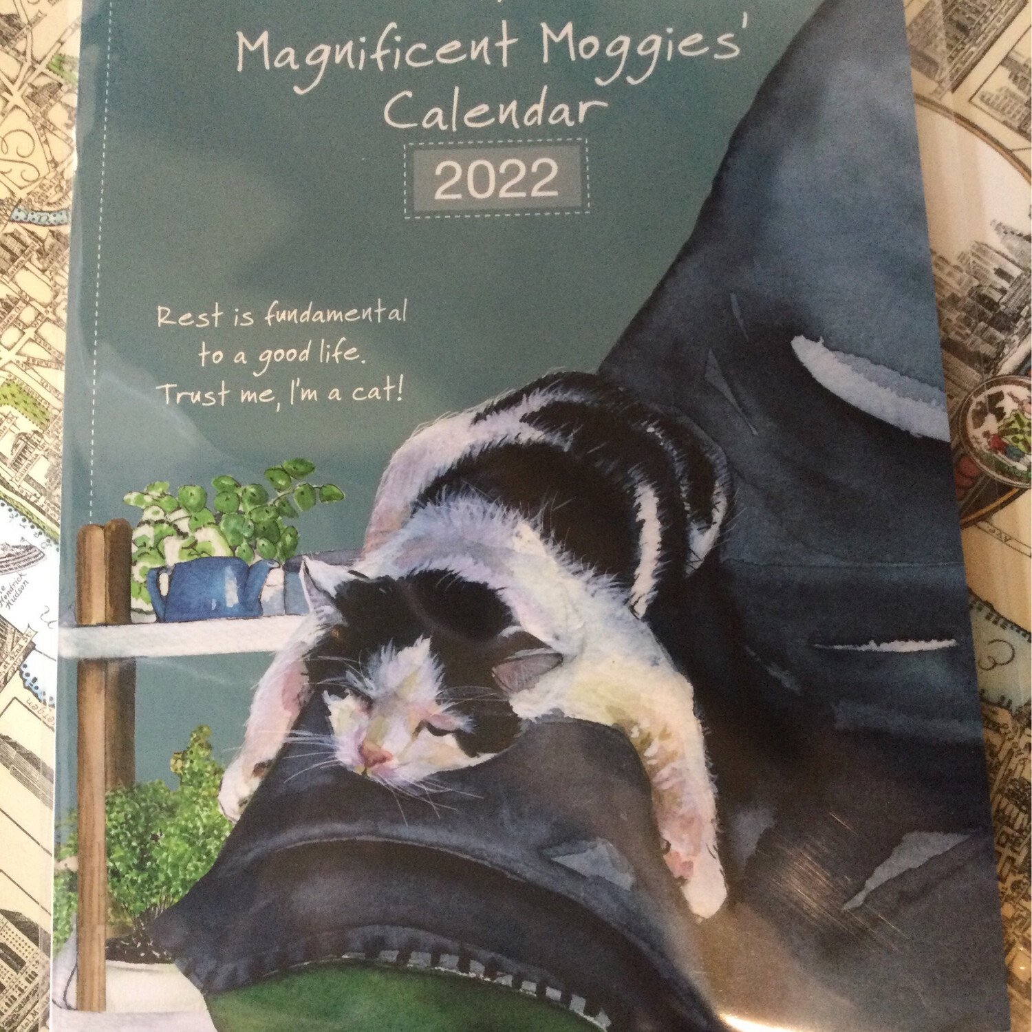 Magnificent Moggies Calendar 2022