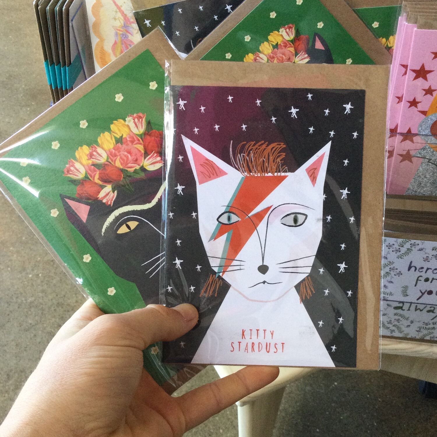 Hello Sunday Cat Cards Medium Size