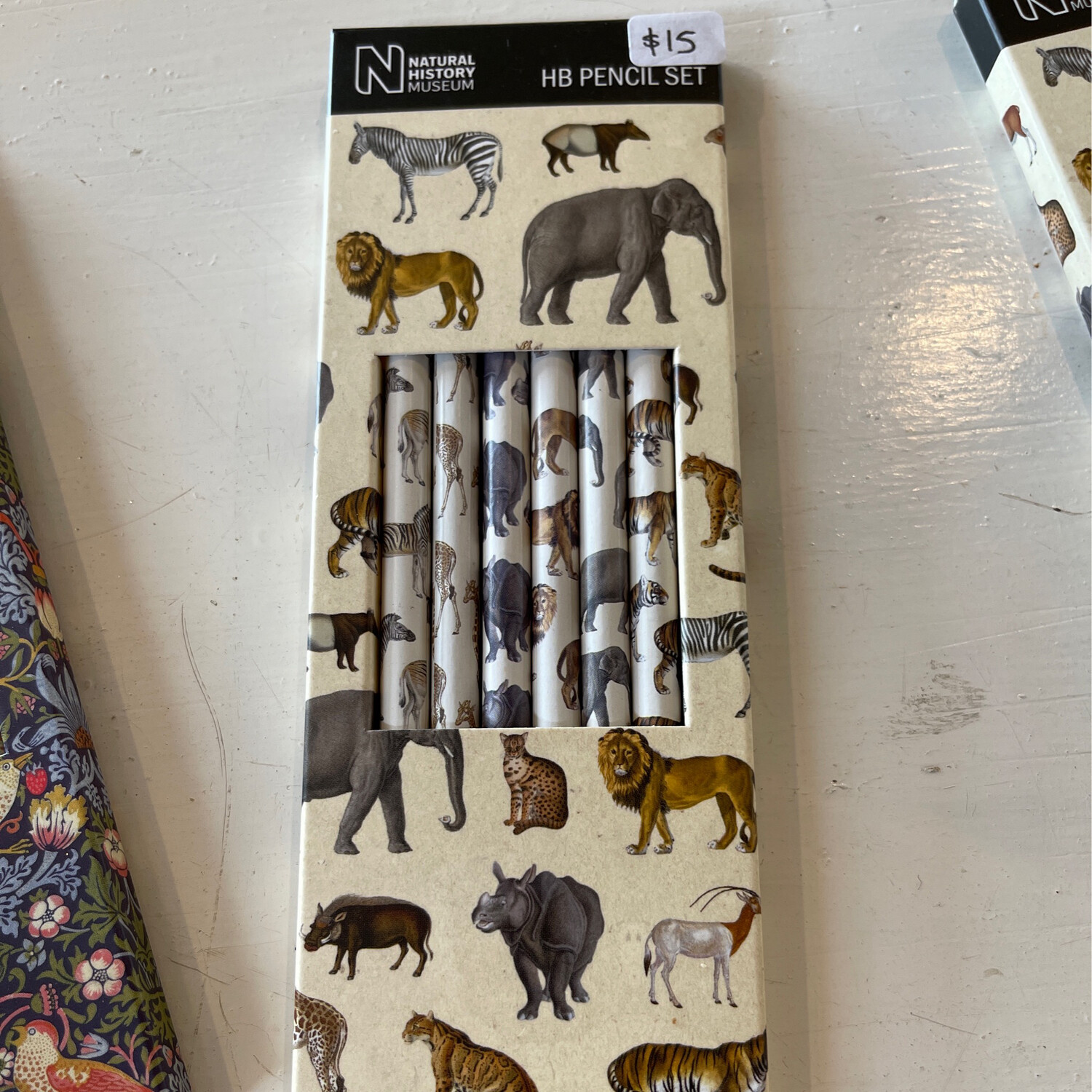 African Animals HB Pencil Set National History Museum
