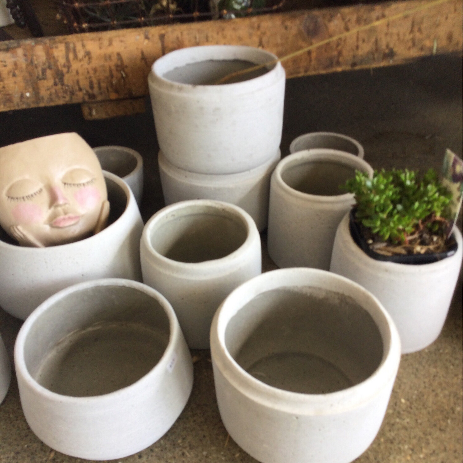 Concrete Pot . Concrete Planter Cache Various Sizes &amp; Shapes