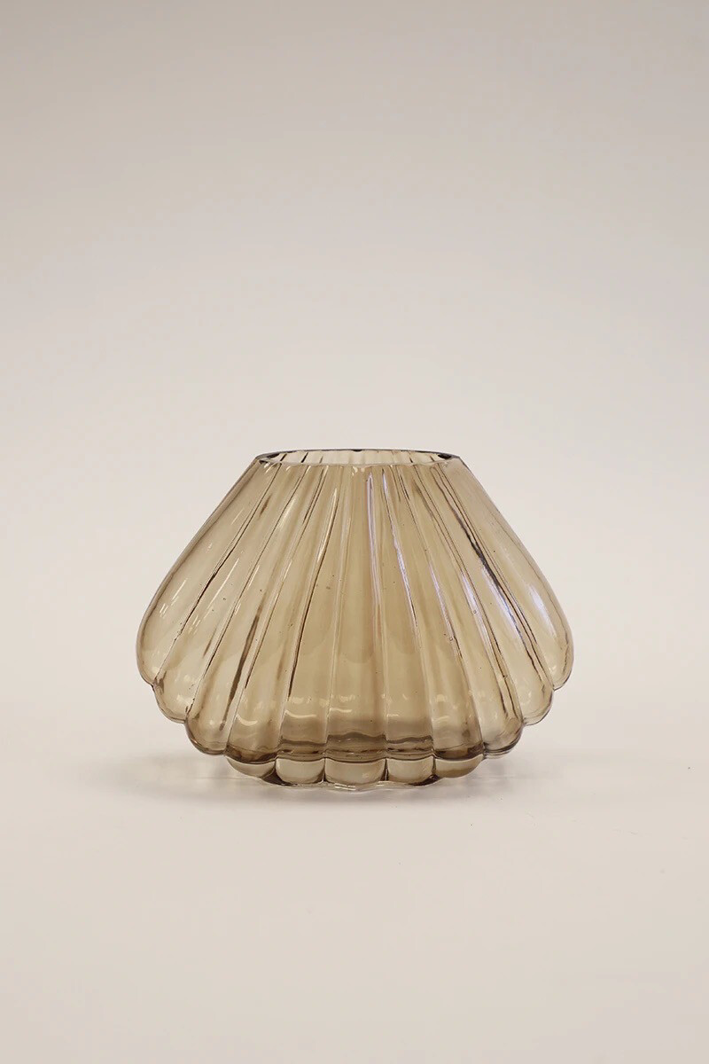 Shell Glass Vase . Shell Vase