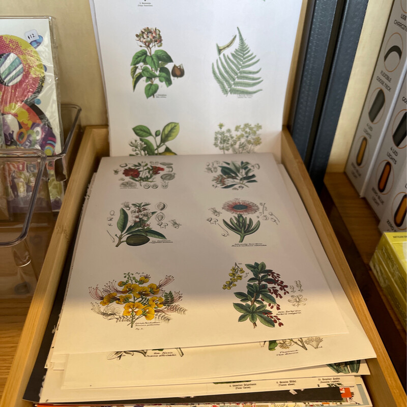 Botanical Nature and Decorative Sticker Sheets