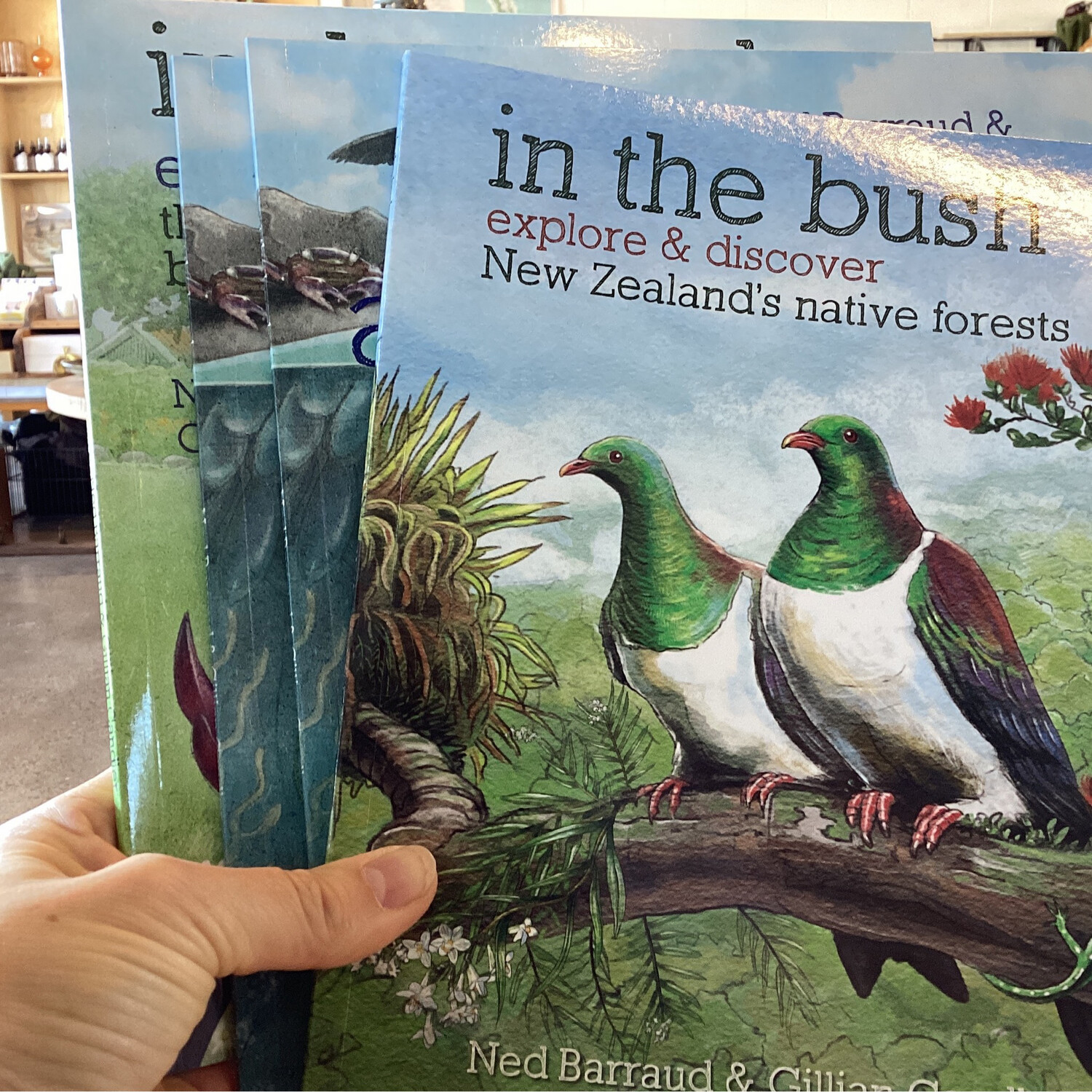 Explore &amp; Discover New Zealand Book Series &amp; Backyard Books By Ned Barraud