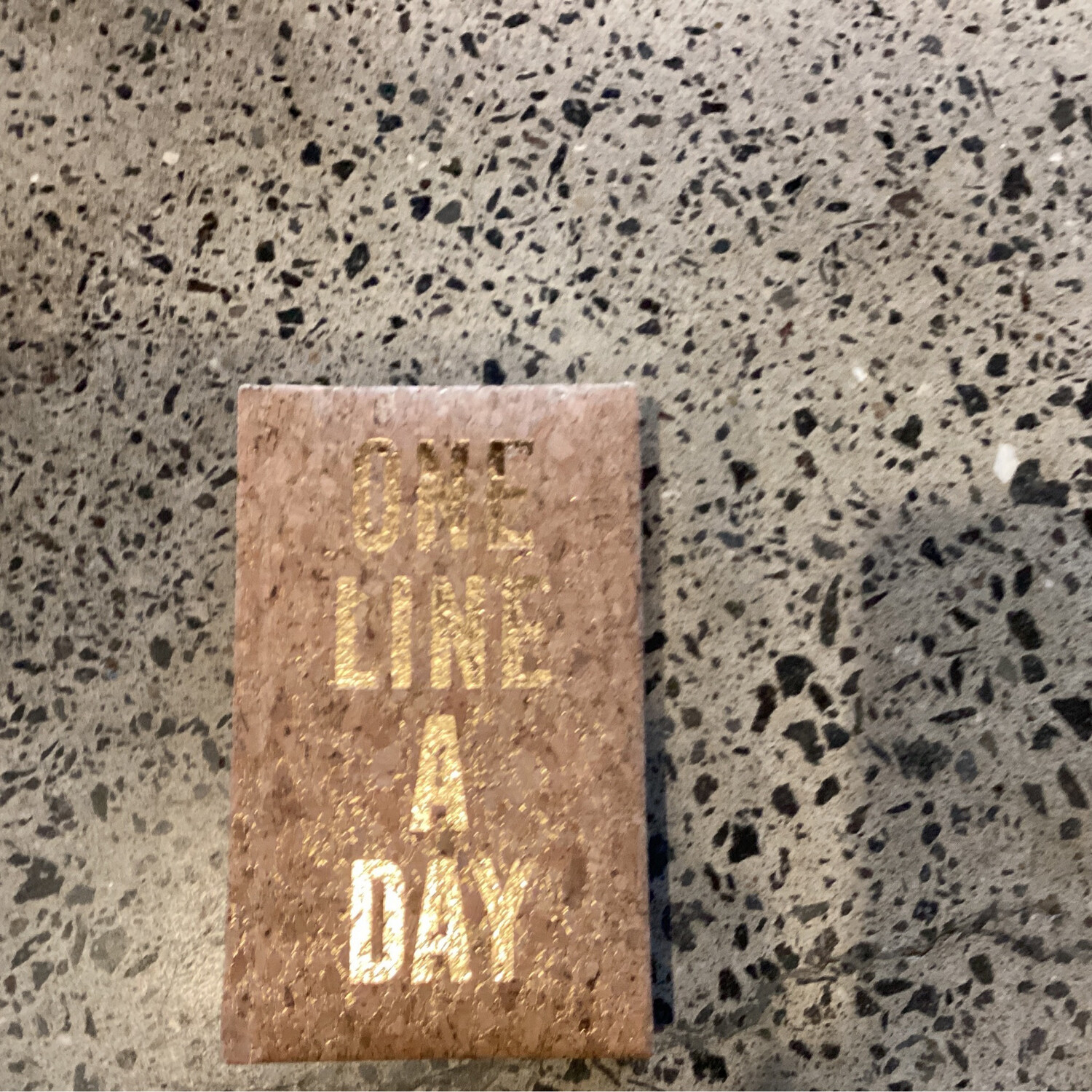 One Line A Day Journal -Cork Cover
