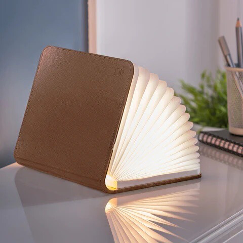 Smart Book Light Gingko - Various Colours &amp; Sizes 