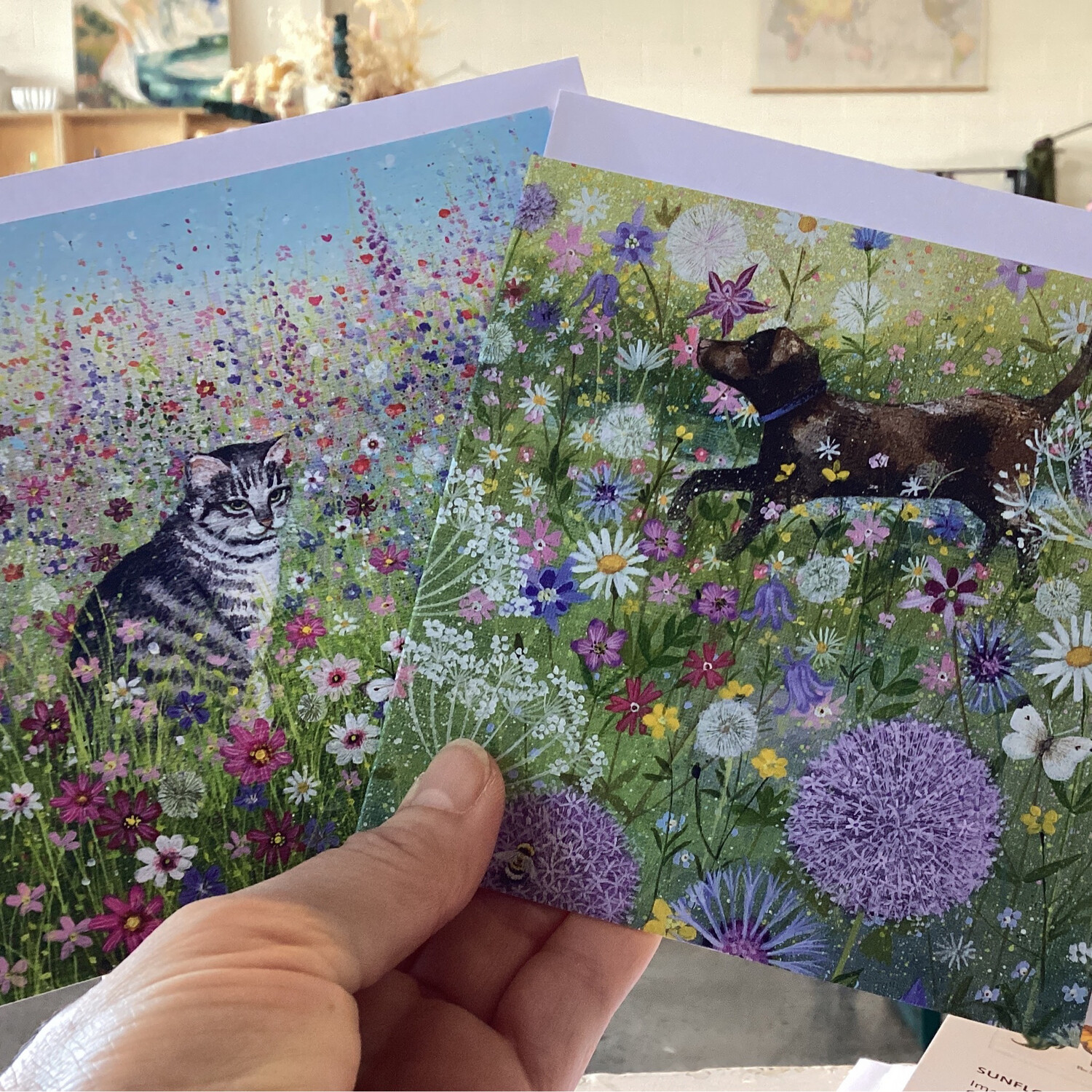 Coast And Country . V&amp;A, Museums &amp; Galleries Cards And Notecards Sets