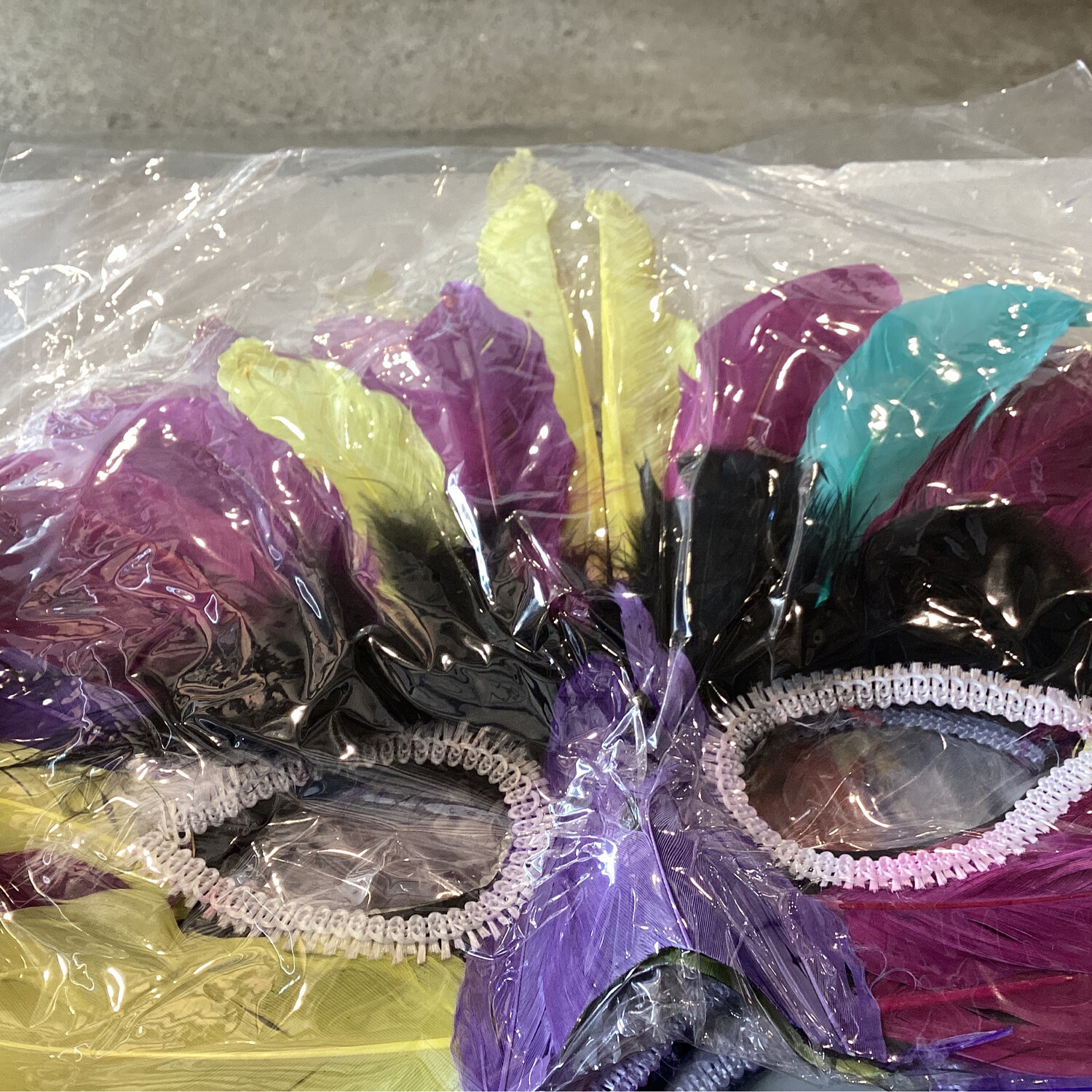 Feathered Mask