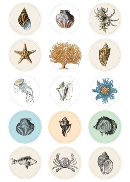 Label &amp; Sticker Book- Pepin Press