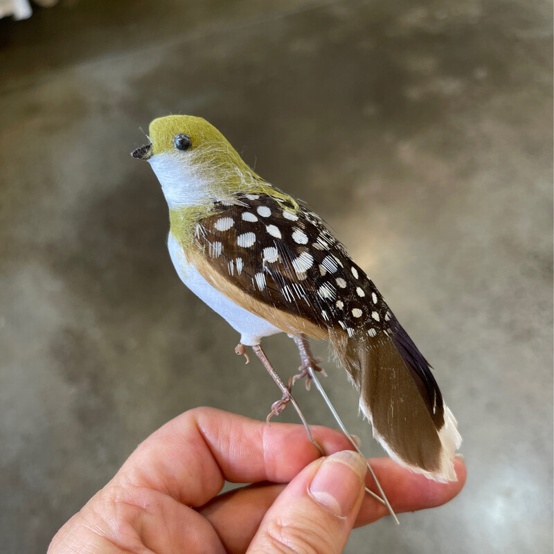 Bird Decorations