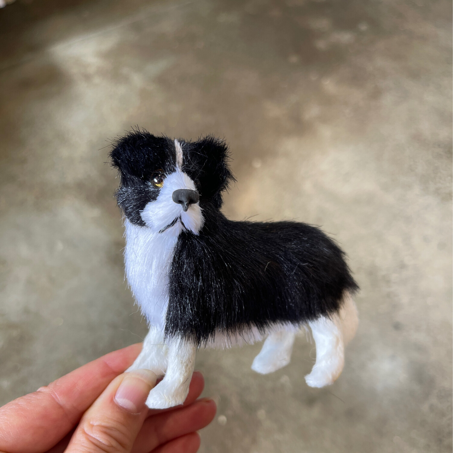 Fur Animals, Animal: 6. Dog black &amp; white border collie