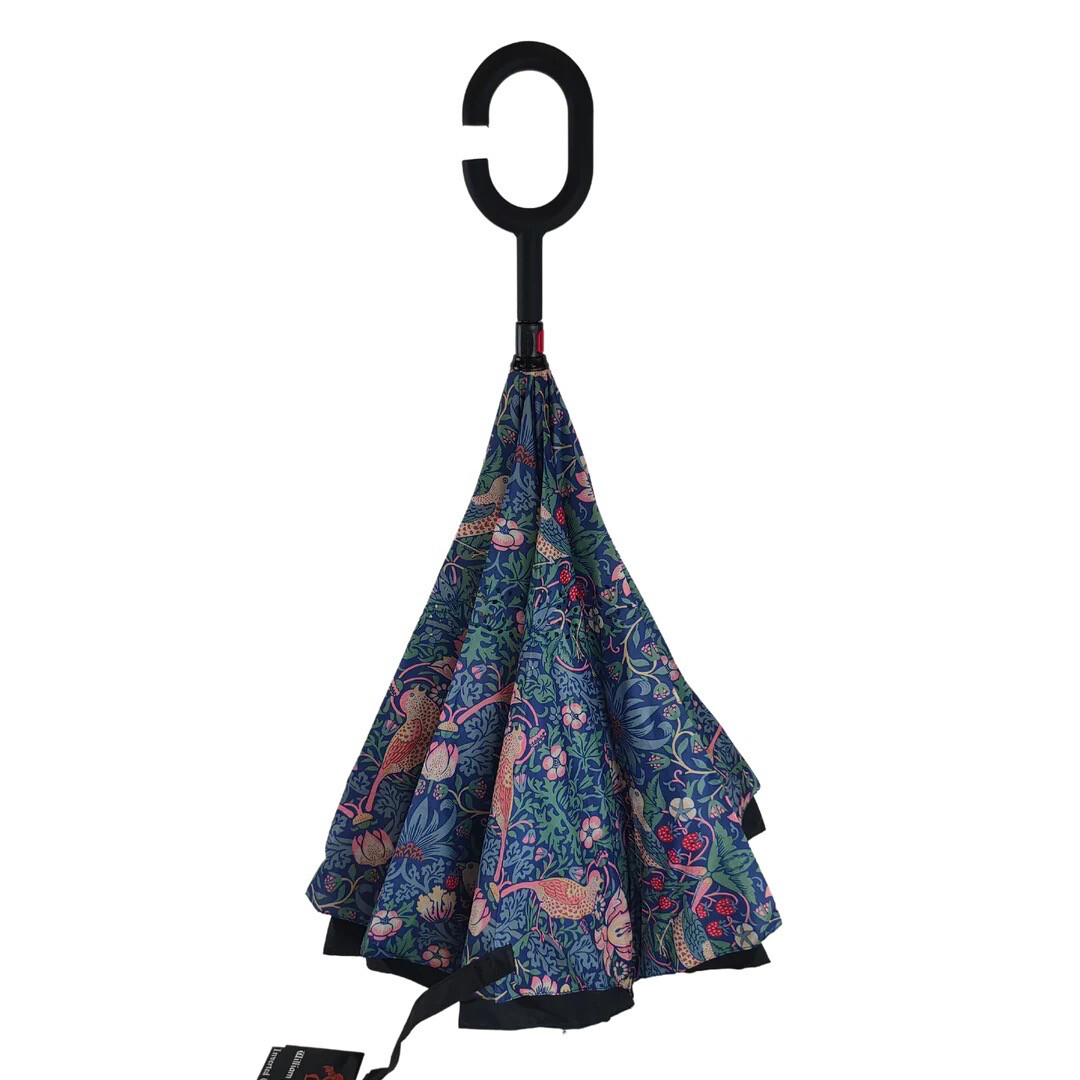 Inverted Umbrella