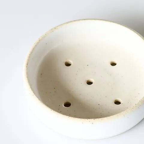 Botanical Ceramics