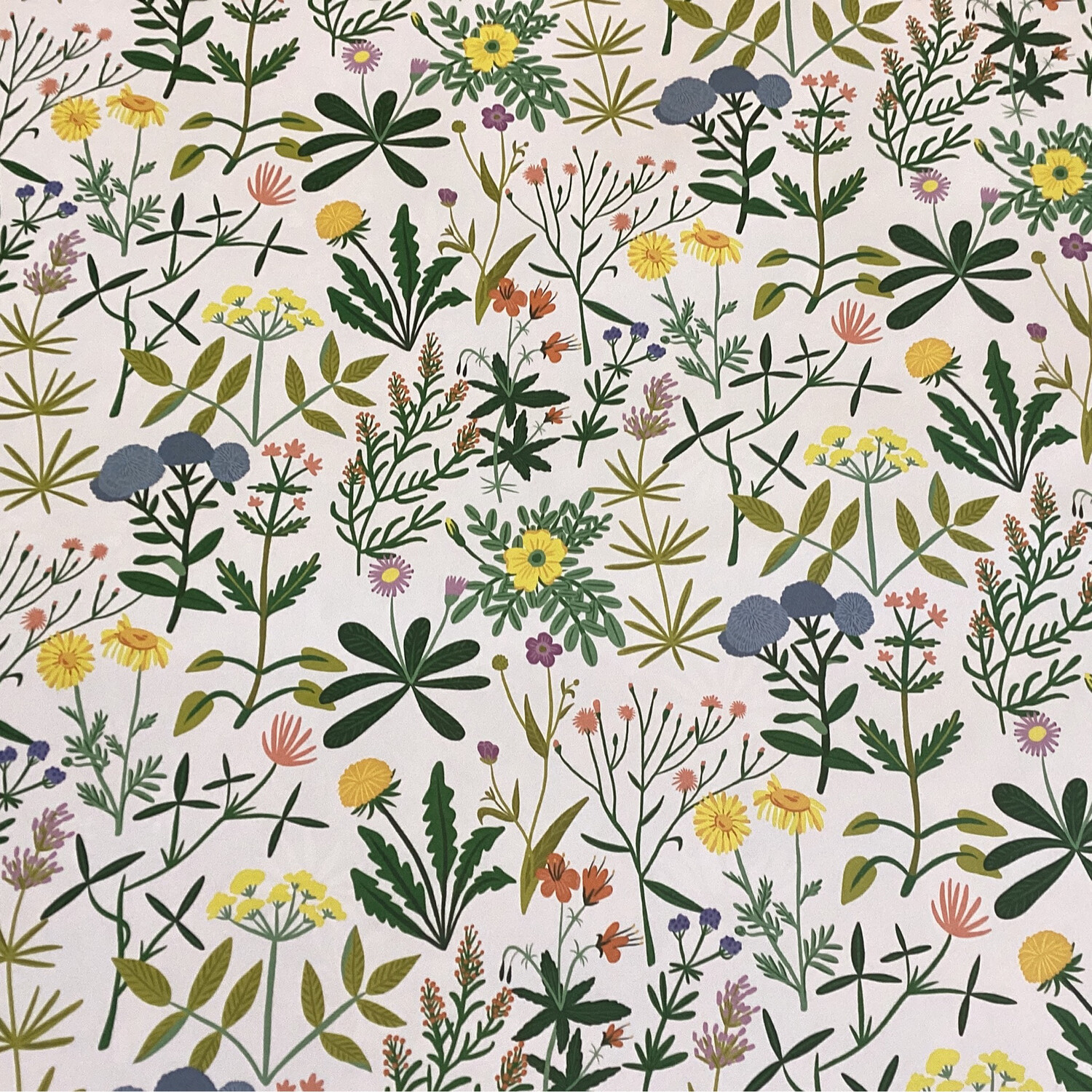 Red Cap Wrapping Paper, Design: Wildflowers on white
