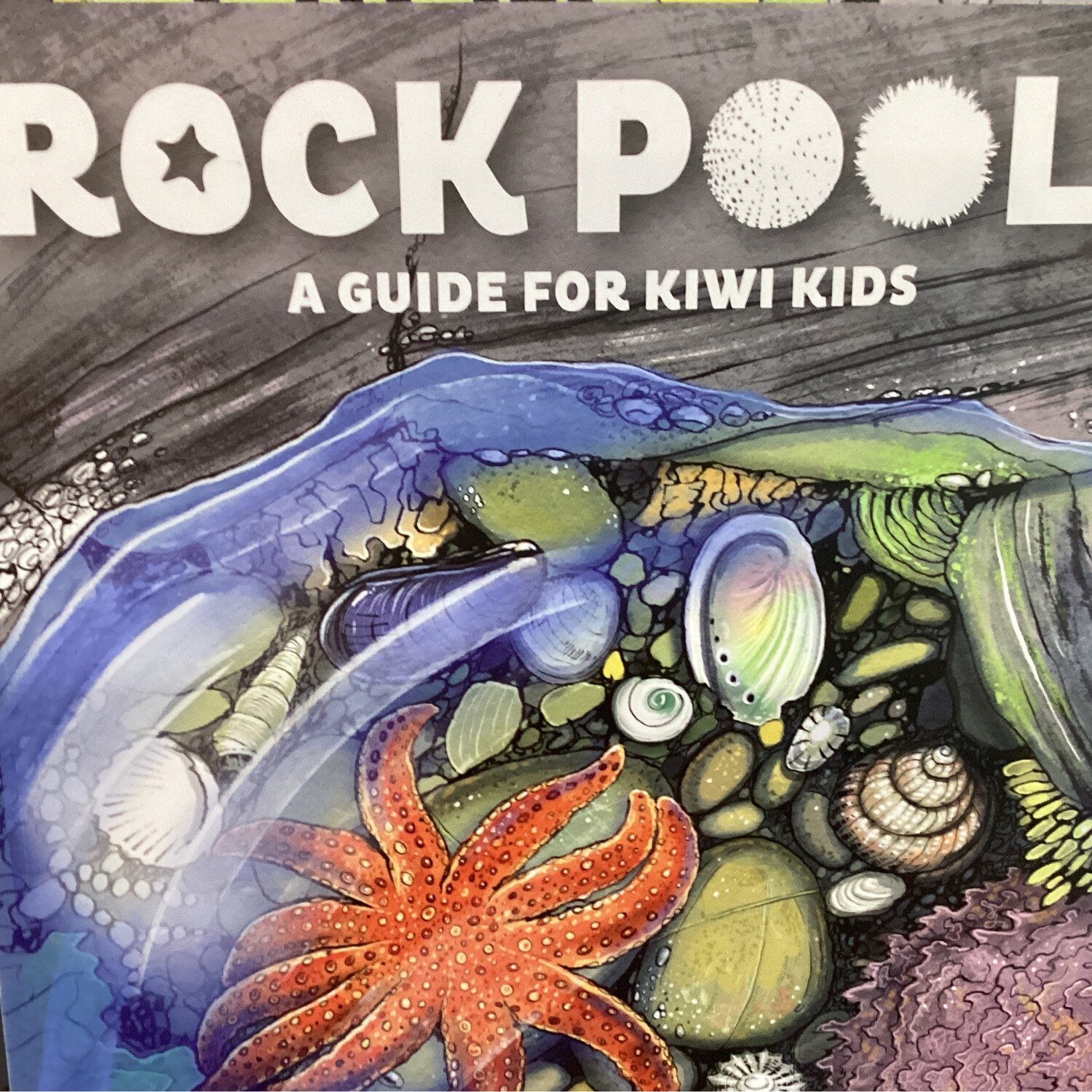 Rock Pools, Ned Barraud