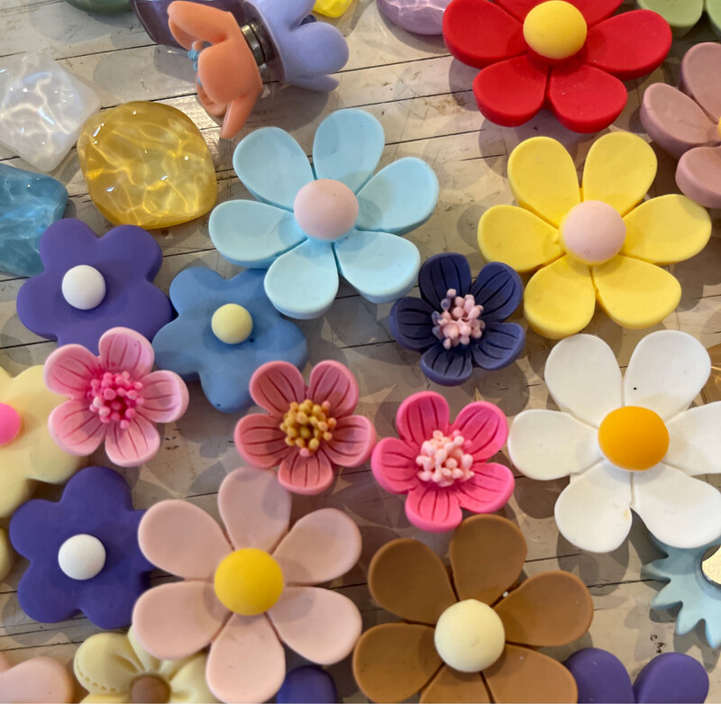 Novelty Magnets Variety