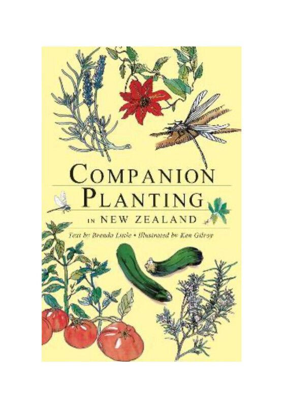 Companion Planting In NZ