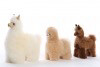 Auskin Alpaca Baby Alpaca 20cm