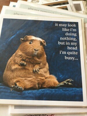 Curious World Cards, Design: 1. Doing Nothing Hamster