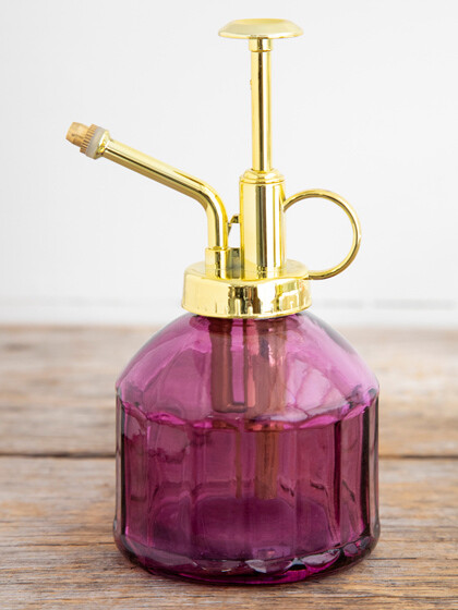 Glass Plant Mister Watering Spray