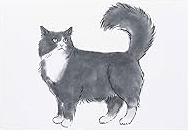 Compendium Cat And Dog Notecards, Design: 1. Cat Standing