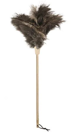 Feather Duster