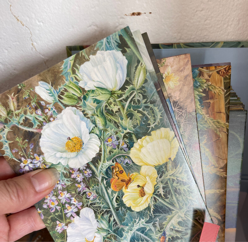 Royal Botanical Gardens Kew . Marianne North postcard