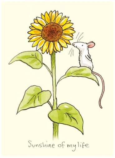 Two Bad Mice Cards