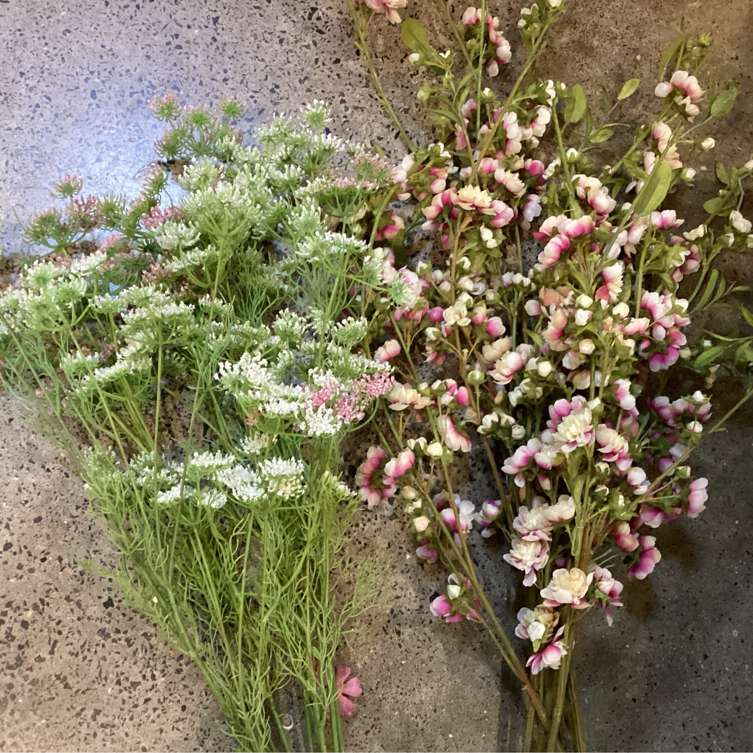 Blossoms Stems &amp; Queen Anne Lace