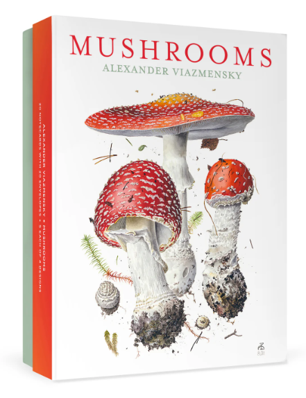 Mushroom Notecards, Alexander Viazmensky