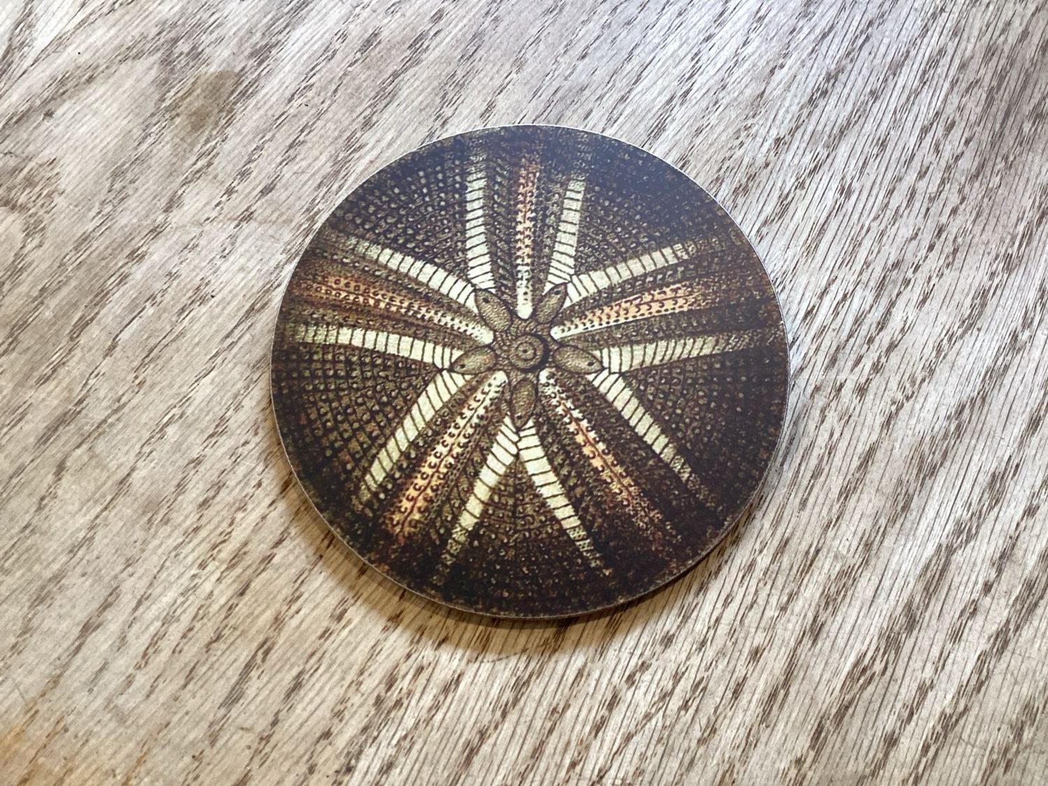 NZ Art Coasters