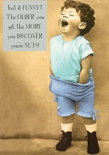 Pigment retro Humour Cards, card: 2. Nuts