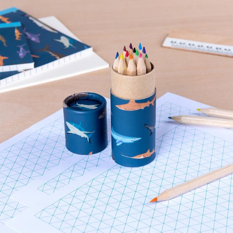 Tube Of Colouring Pencils Rex London