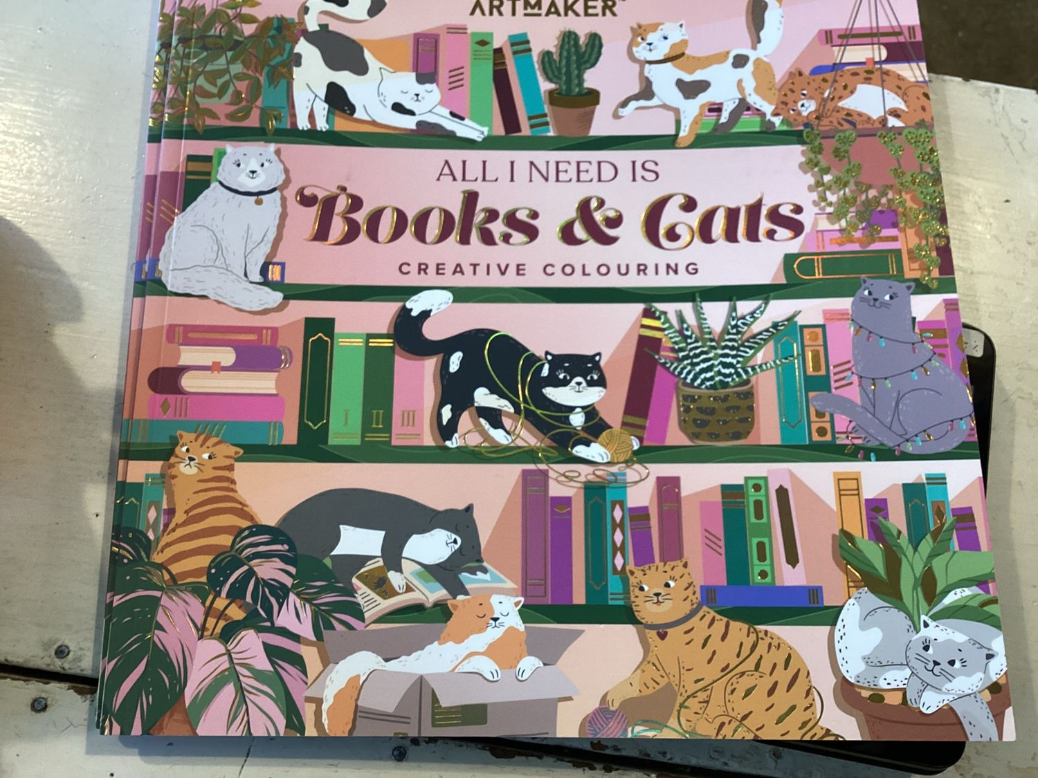 All I Need Is Books &amp; Cats Creative Colouring Book