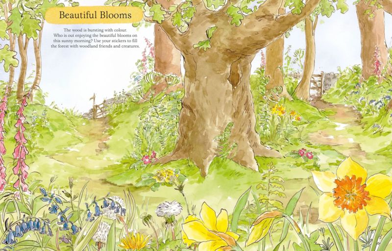 Peter Rabbit Activity Books