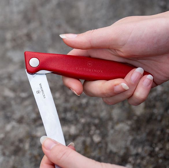 Picnic Knife, Swiss Classic Victorinox