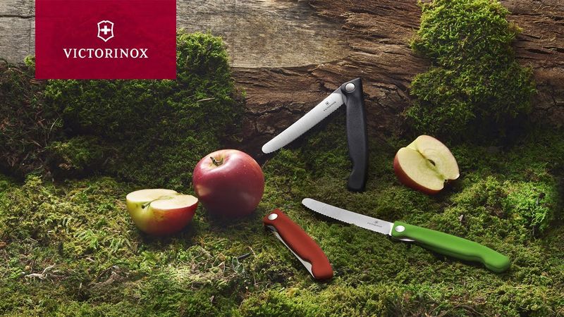 Picnic Knife, Swiss Classic Victorinox